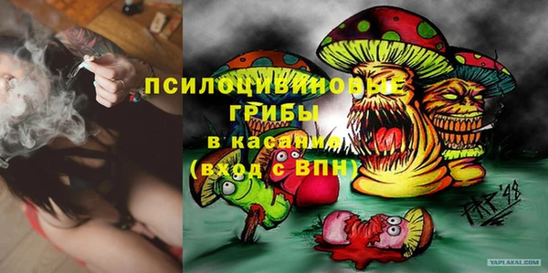 шишки Володарск