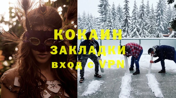 шишки Володарск