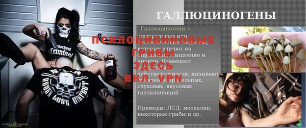 шишки Володарск