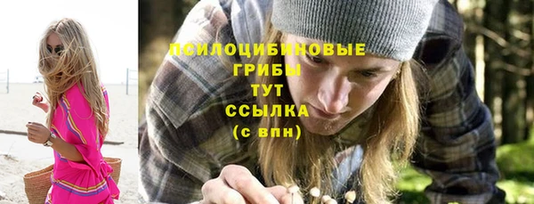 шишки Володарск